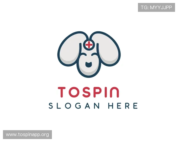 解读TOSPIN Casino